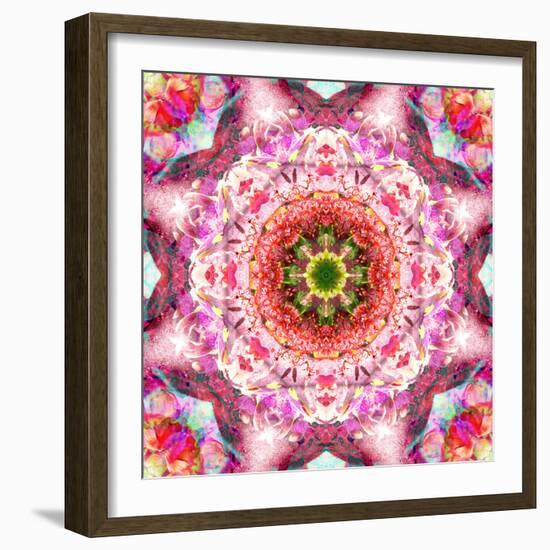 A Mandala from Flowers-Alaya Gadeh-Framed Photographic Print