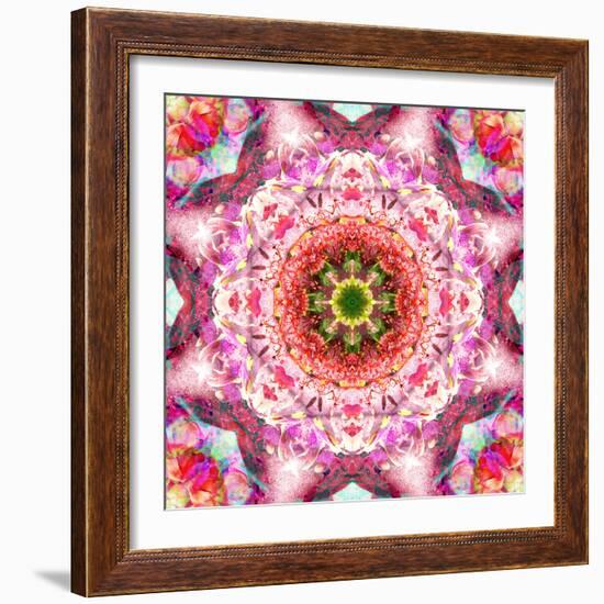 A Mandala from Flowers-Alaya Gadeh-Framed Photographic Print