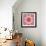 A Mandala from Flowers-Alaya Gadeh-Framed Photographic Print displayed on a wall