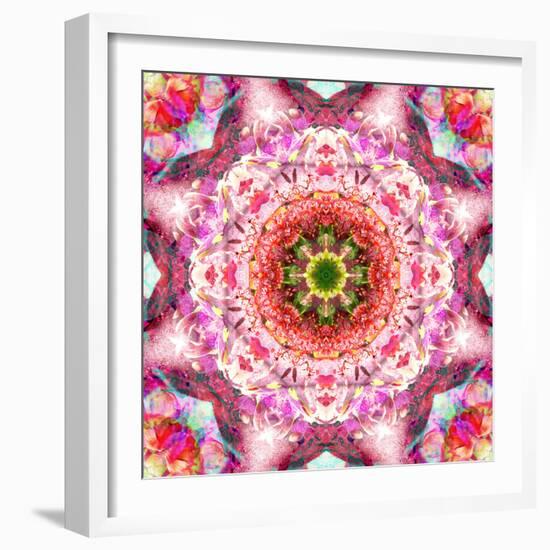 A Mandala from Flowers-Alaya Gadeh-Framed Photographic Print