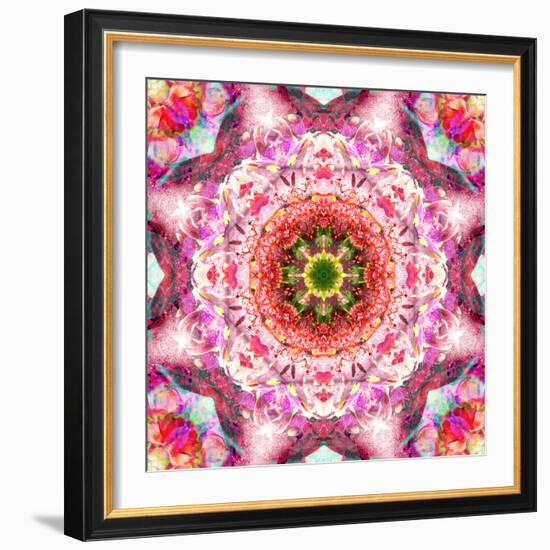 A Mandala from Flowers-Alaya Gadeh-Framed Photographic Print