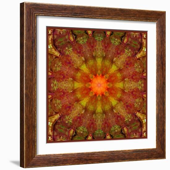 A Mandala from Leafes and Flowers, Conceptual, Symmetric Layer Work-Alaya Gadeh-Framed Photographic Print
