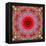 A Mandala from Rose and Cherry Blossom Photographs-Alaya Gadeh-Framed Premier Image Canvas