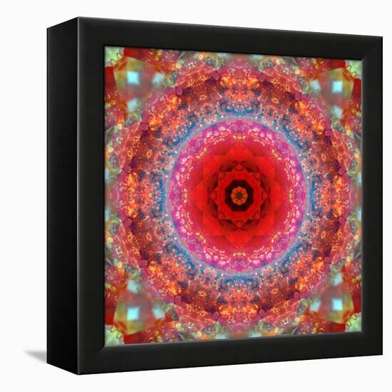 A Mandala from Rose and Cherry Blossom Photographs-Alaya Gadeh-Framed Premier Image Canvas