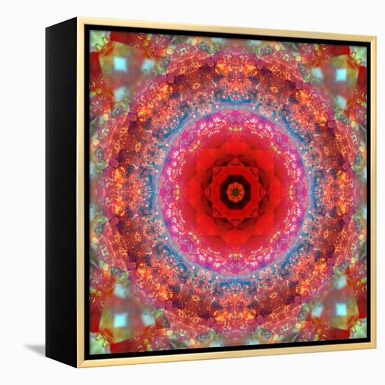A Mandala from Rose and Cherry Blossom Photographs-Alaya Gadeh-Framed Premier Image Canvas