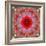 A Mandala from Rose and Cherry Blossom Photographs-Alaya Gadeh-Framed Photographic Print