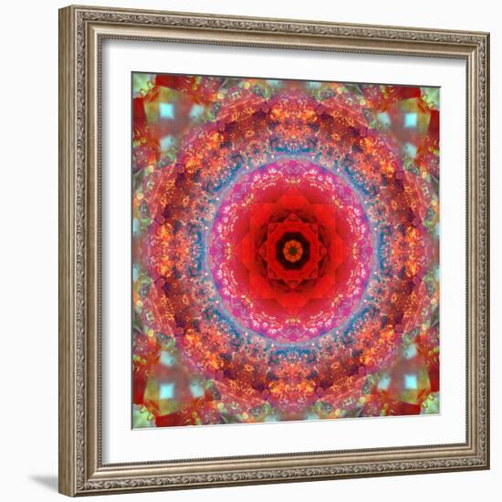 A Mandala from Rose and Cherry Blossom Photographs-Alaya Gadeh-Framed Photographic Print