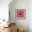 A Mandala from Rose and Cherry Blossom Photographs-Alaya Gadeh-Framed Photographic Print displayed on a wall