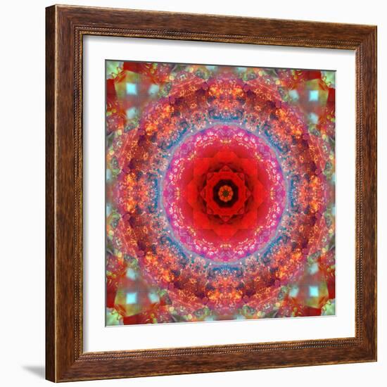 A Mandala from Rose and Cherry Blossom Photographs-Alaya Gadeh-Framed Photographic Print
