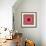 A Mandala from Rose and Cherry Blossom Photographs-Alaya Gadeh-Framed Photographic Print displayed on a wall