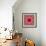 A Mandala from Rose and Cherry Blossom Photographs-Alaya Gadeh-Framed Photographic Print displayed on a wall