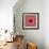 A Mandala from Rose and Cherry Blossom Photographs-Alaya Gadeh-Framed Photographic Print displayed on a wall