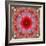 A Mandala from Rose and Cherry Blossom Photographs-Alaya Gadeh-Framed Photographic Print