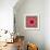 A Mandala from Rose and Cherry Blossom Photographs-Alaya Gadeh-Framed Photographic Print displayed on a wall