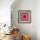 A Mandala from Rose and Cherry Blossom Photographs-Alaya Gadeh-Framed Photographic Print displayed on a wall