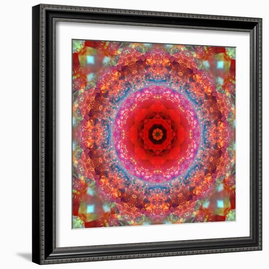 A Mandala from Rose and Cherry Blossom Photographs-Alaya Gadeh-Framed Photographic Print