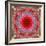 A Mandala from Rose and Cherry Blossom Photographs-Alaya Gadeh-Framed Photographic Print