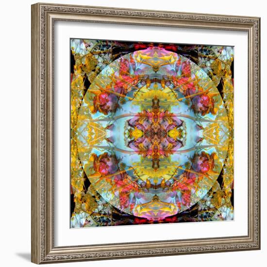 A Mandala Made Out of Flowers and Plants-Alaya Gadeh-Framed Photographic Print