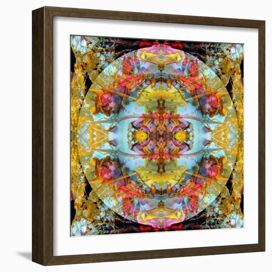 A Mandala Made Out of Flowers and Plants-Alaya Gadeh-Framed Photographic Print