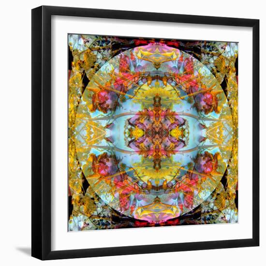 A Mandala Made Out of Flowers and Plants-Alaya Gadeh-Framed Photographic Print