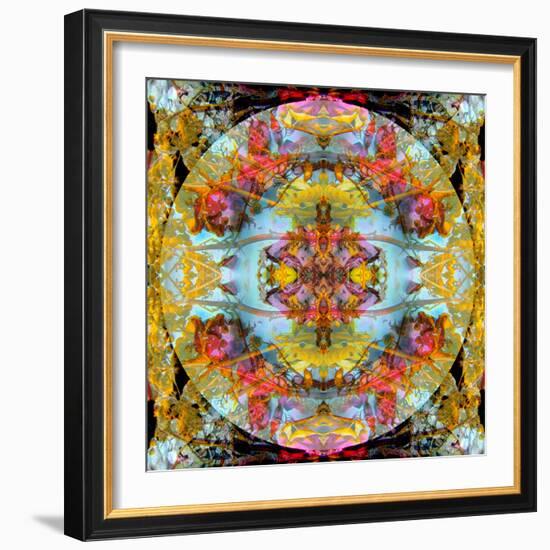 A Mandala Made Out of Flowers and Plants-Alaya Gadeh-Framed Photographic Print