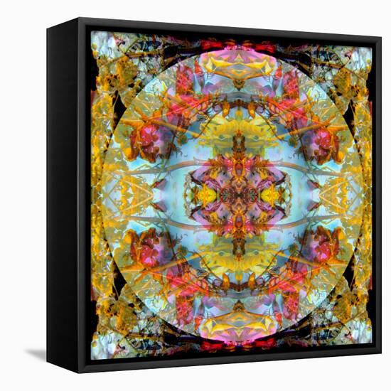 A Mandala Made Out of Flowers and Plants-Alaya Gadeh-Framed Premier Image Canvas