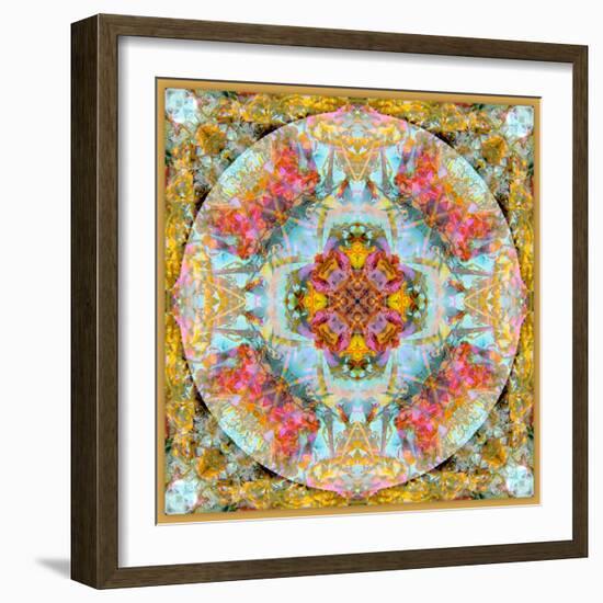 A Mandala Made Out of Flowers and Plants-Alaya Gadeh-Framed Photographic Print