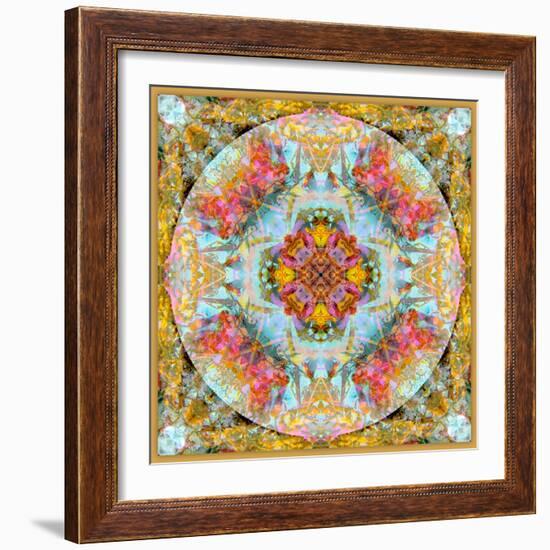 A Mandala Made Out of Flowers and Plants-Alaya Gadeh-Framed Photographic Print