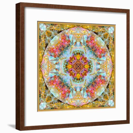 A Mandala Made Out of Flowers and Plants-Alaya Gadeh-Framed Photographic Print