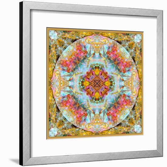 A Mandala Made Out of Flowers and Plants-Alaya Gadeh-Framed Photographic Print