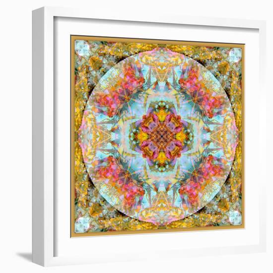 A Mandala Made Out of Flowers and Plants-Alaya Gadeh-Framed Photographic Print