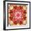 A Mandala Montage from Collected Acre Flowers-Alaya Gadeh-Framed Photographic Print