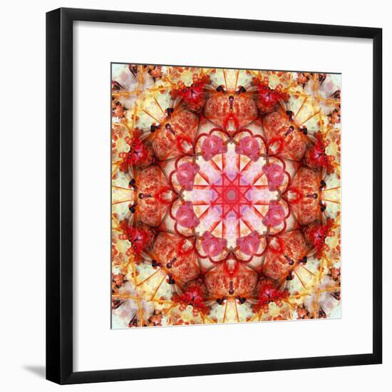A Mandala Montage from Collected Acre Flowers-Alaya Gadeh-Framed Photographic Print