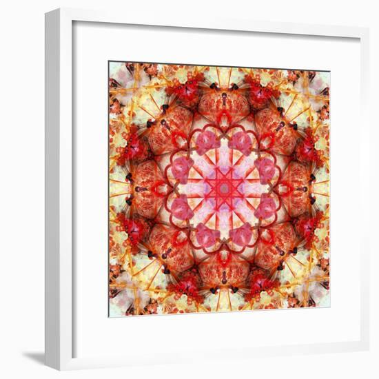 A Mandala Montage from Collected Acre Flowers-Alaya Gadeh-Framed Photographic Print