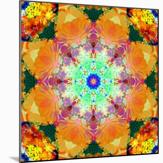 A Mandala Ornament from Flower Photographs, Conceptual Layer Work-Alaya Gadeh-Mounted Photographic Print