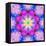 A Mandala Ornament from Flower Photographs, Conceptual Layer Work-Alaya Gadeh-Framed Premier Image Canvas