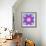 A Mandala Ornament from Flower Photographs, Conceptual Layer Work-Alaya Gadeh-Framed Photographic Print displayed on a wall