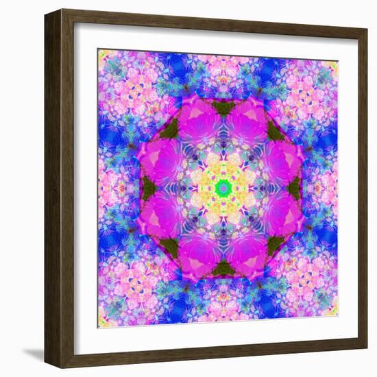 A Mandala Ornament from Flower Photographs, Conceptual Layer Work-Alaya Gadeh-Framed Photographic Print