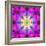 A Mandala Ornament from Flower Photographs, Conceptual Layer Work-Alaya Gadeh-Framed Photographic Print