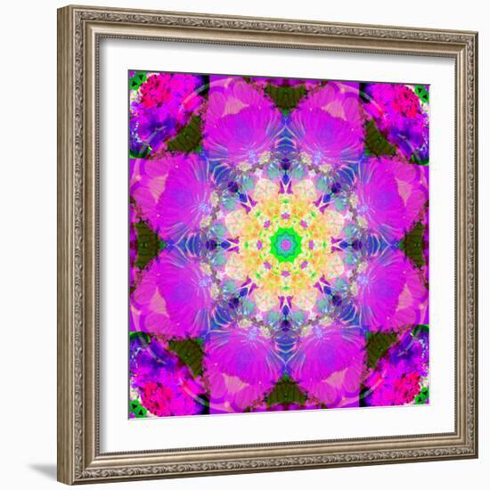 A Mandala Ornament from Flower Photographs, Conceptual Layer Work-Alaya Gadeh-Framed Photographic Print