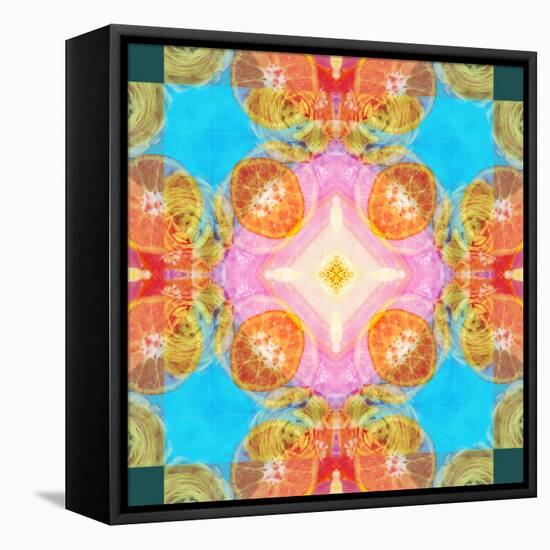 A Mandala Ornament from Flower Photographs-Alaya Gadeh-Framed Premier Image Canvas