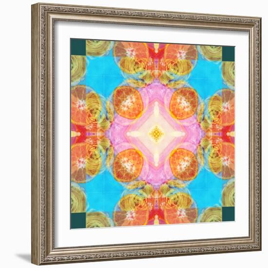 A Mandala Ornament from Flower Photographs-Alaya Gadeh-Framed Photographic Print