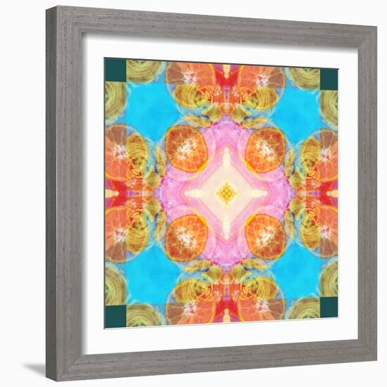 A Mandala Ornament from Flower Photographs-Alaya Gadeh-Framed Photographic Print