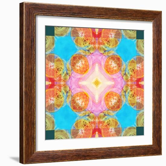 A Mandala Ornament from Flower Photographs-Alaya Gadeh-Framed Photographic Print