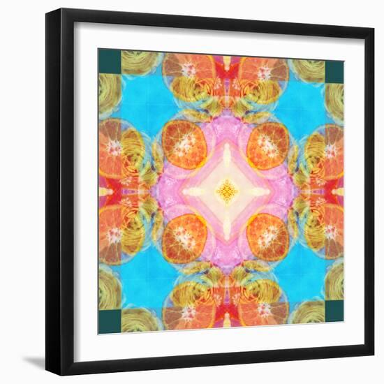 A Mandala Ornament from Flower Photographs-Alaya Gadeh-Framed Photographic Print