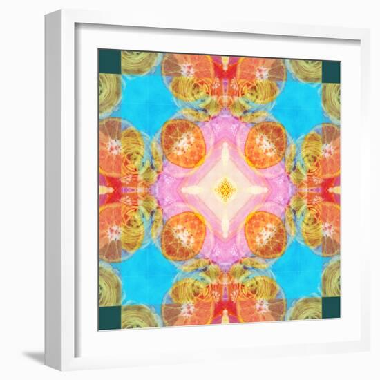 A Mandala Ornament from Flower Photographs-Alaya Gadeh-Framed Photographic Print