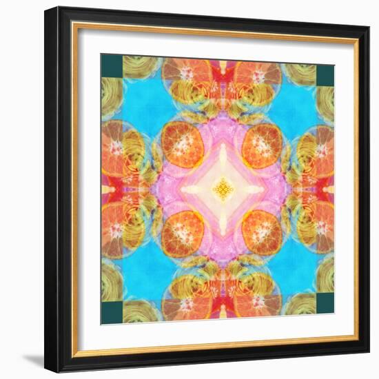 A Mandala Ornament from Flower Photographs-Alaya Gadeh-Framed Photographic Print