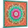 A Mandala Ornament from Flowers and Drawings-Alaya Gadeh-Mounted Photographic Print