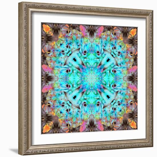 A Mandala Ornament from Flowers, Photograph, Many Layer Artwork-Alaya Gadeh-Framed Photographic Print