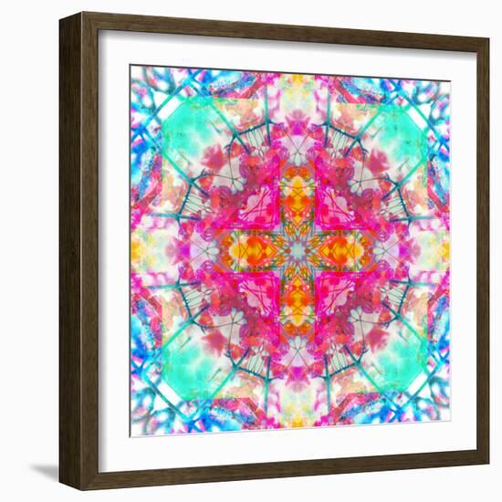 A Mandala Ornament from Flowers, Photograph, Many Layer Artwork-Alaya Gadeh-Framed Photographic Print